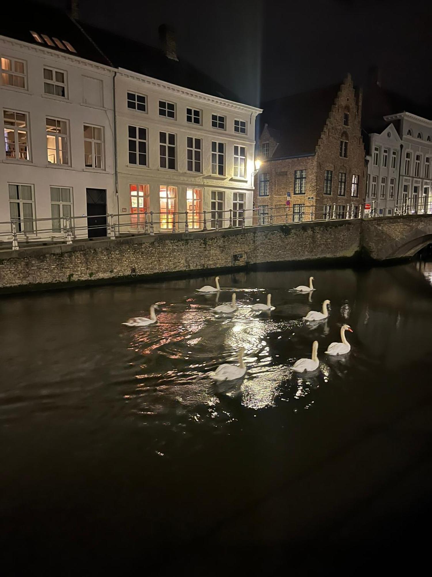 Residence9bruges 4* Brugge
